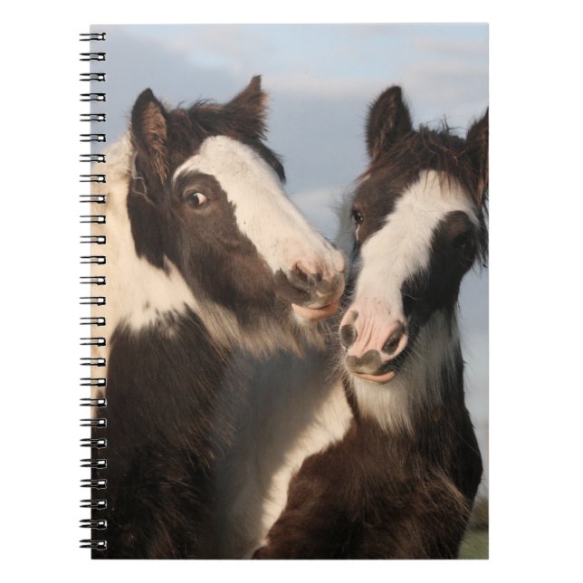 Caderno Espiral Notebook de fotos espiral (Frente)