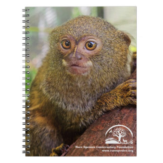 Caderno Espiral Notebook de fotos espiral
