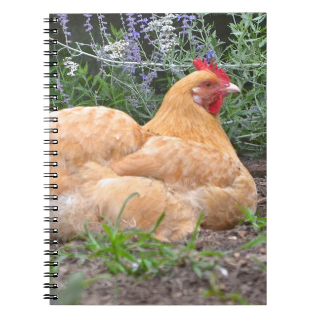 Caderno Espiral Notebook de frango (Frente)
