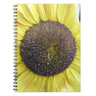 Caderno Espiral Notebook de girassol amarelo