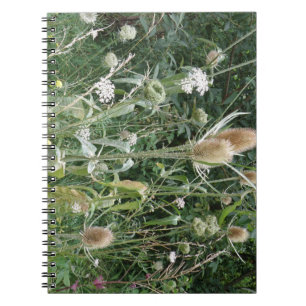 Caderno Espiral Notebook de gramíneas selvagens