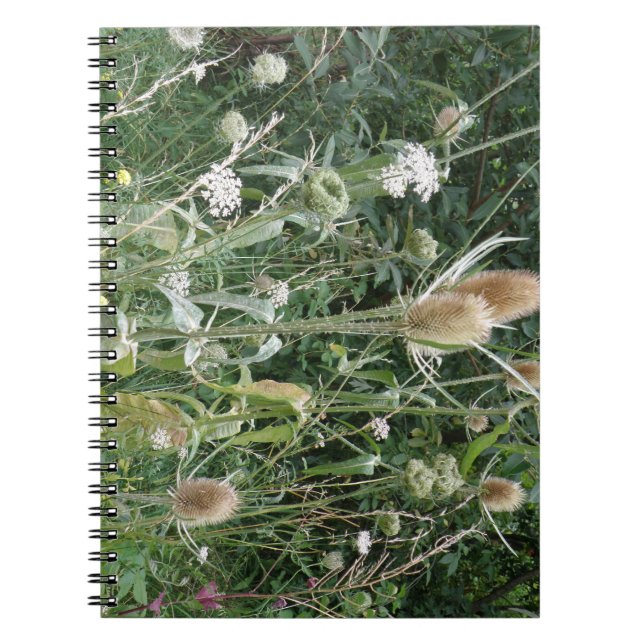 Caderno Espiral Notebook de gramíneas selvagens (Frente)