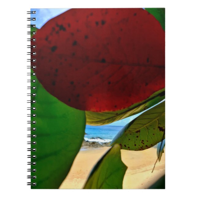 Caderno Espiral Notebook de Inspiração Tropical (Frente)