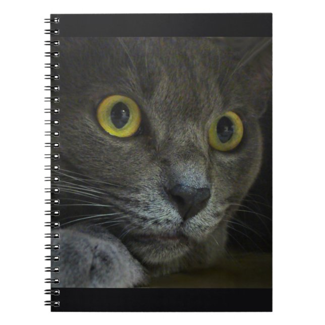 Caderno Espiral Notebook de intensidade (Frente)