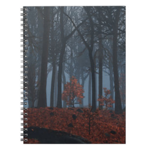 Caderno Espiral Notebook de inverno sai