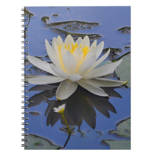 Caderno Espiral Notebook de lírio de água
