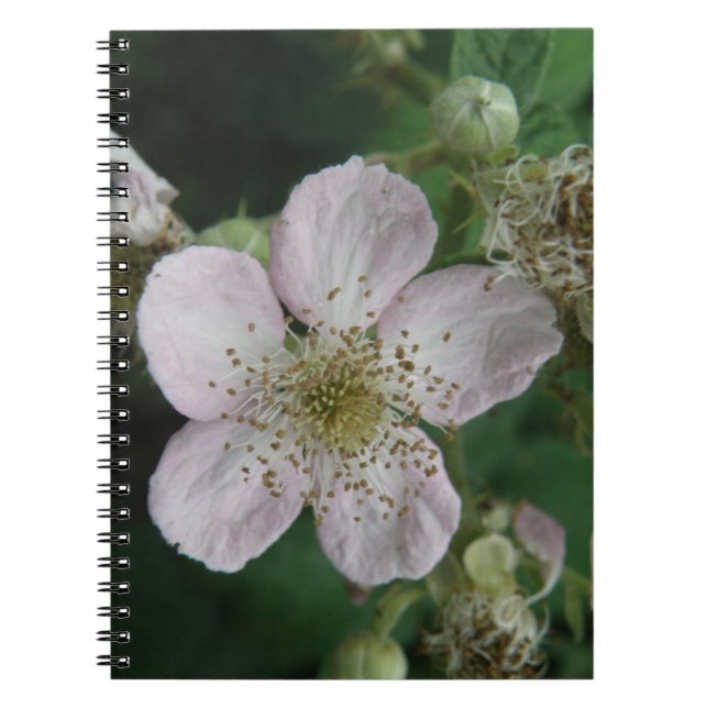 Caderno Espiral Notebook de Macro Flor Blackberry (Frente)