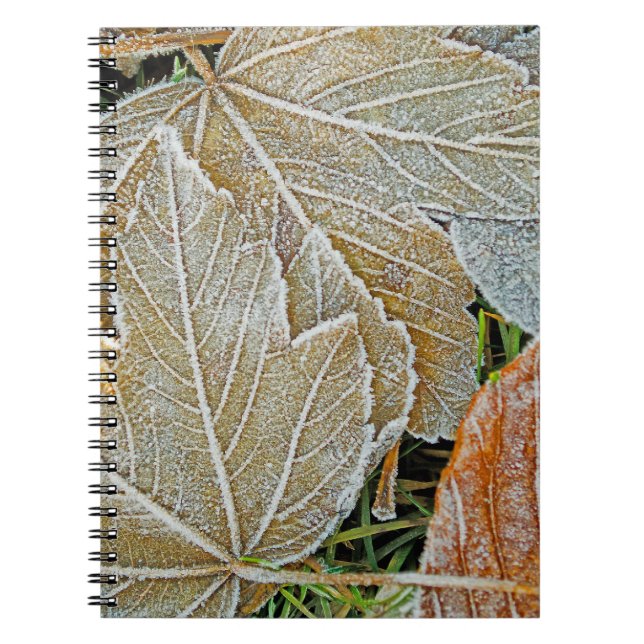 Caderno Espiral Notebook de Mapeamento Congelado (Frente)