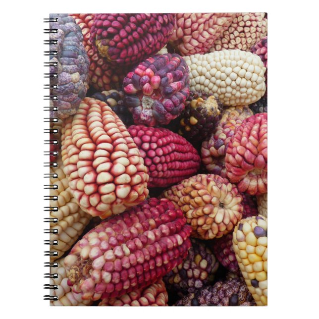 Caderno Espiral Notebook de milho colorido (Frente)