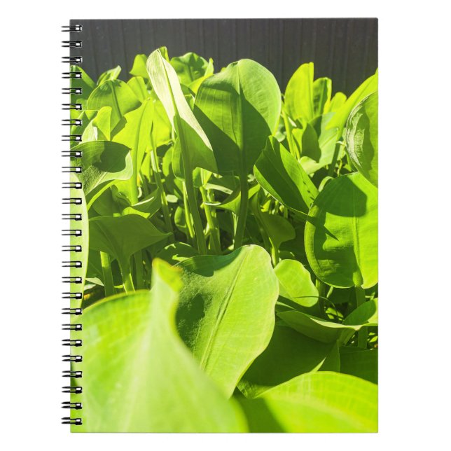 Caderno Espiral Notebook de Oásis Verde - Design de Plantas Verdes (Frente)