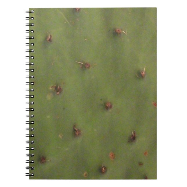 Caderno Espiral Notebook De Pele Rápida (Frente)
