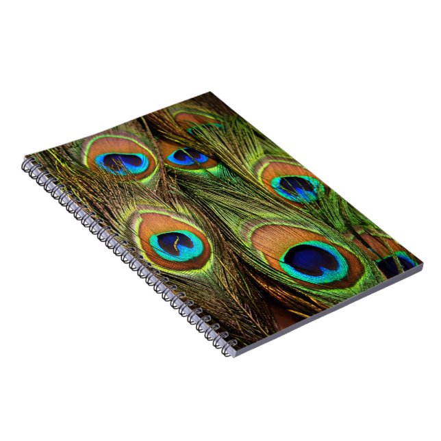 Caderno Espiral Notebook de Penas de Penas de Peacock (Lado Direito)