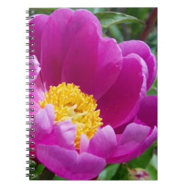 Caderno Espiral Notebook De Pensão Rosa E Amarelo