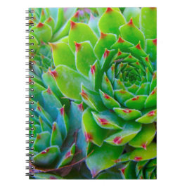 Caderno Espiral Notebook de planta verde