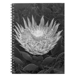 Caderno Espiral Notebook de proteína branca e preta