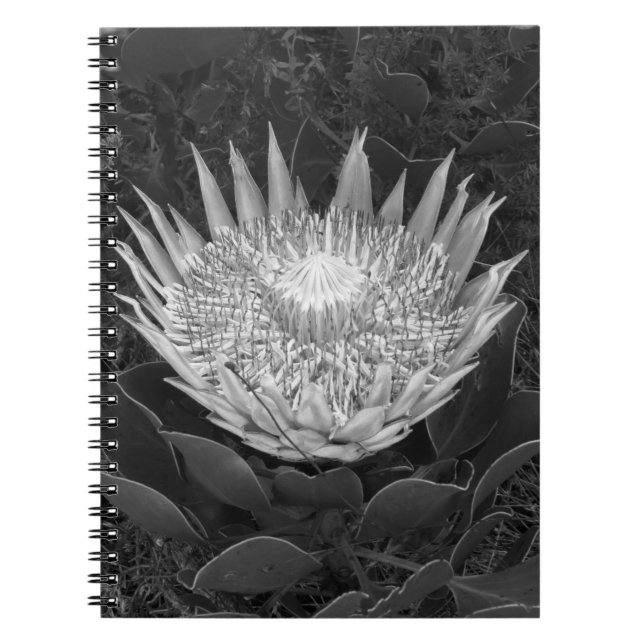 Caderno Espiral Notebook de proteína branca e preta (Frente)