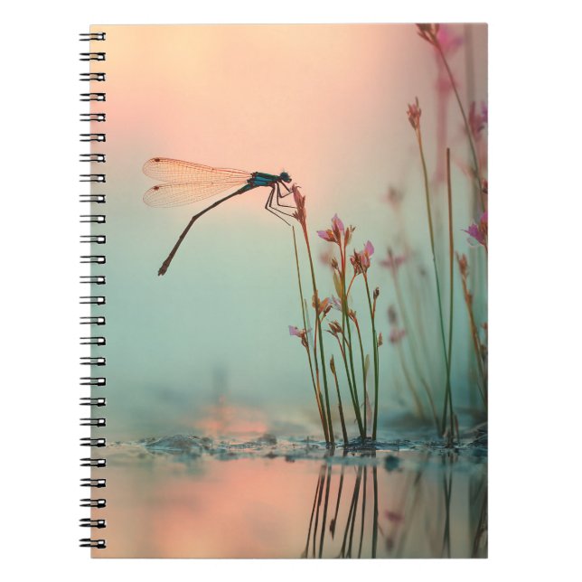 Caderno Espiral Notebook De Reflexão De Pastel Dragonfly (Frente)
