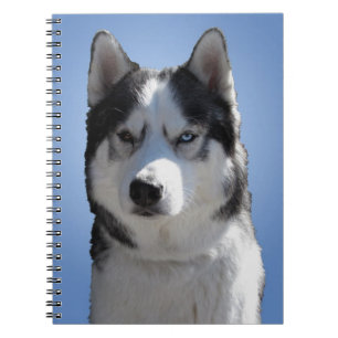 Caderno Espiral Notebook de rouco Siberian Husky Dons & Livros