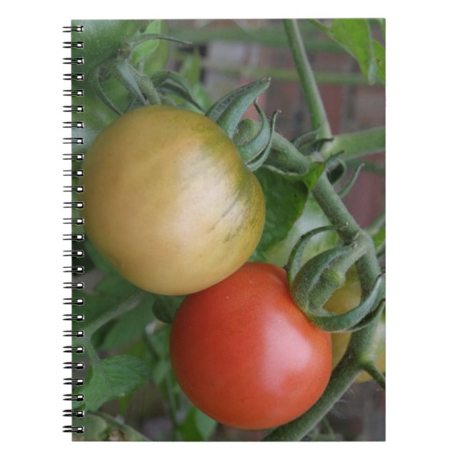 Caderno Espiral Notebook de tomate laranja e vermelho (Frente)
