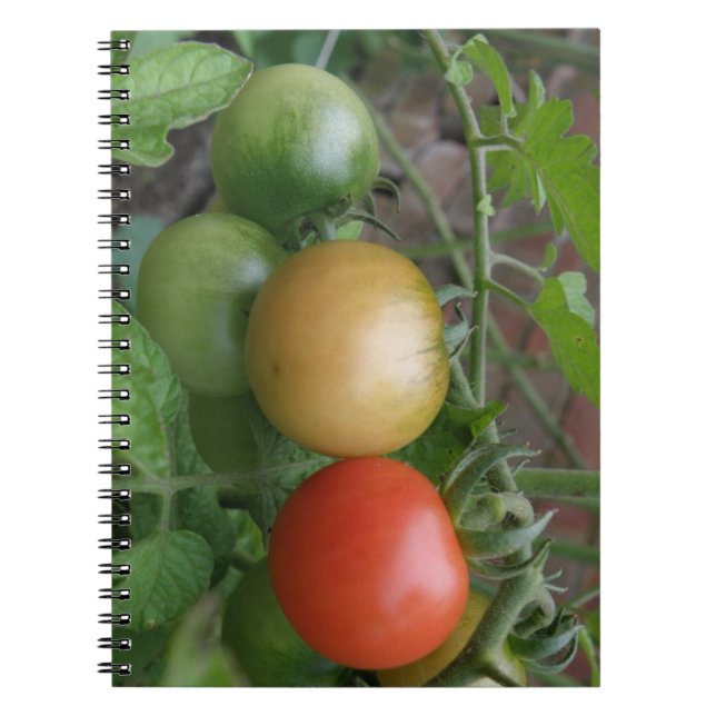 Caderno Espiral Notebook de tomate leve de trânsito (Frente)