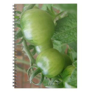 Caderno Espiral Notebook de tomate verde