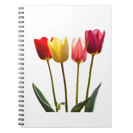 CADERNO ESPIRAL NOTEBOOK DE TULIP