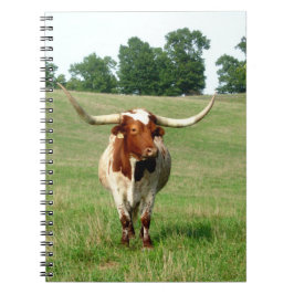 Caderno Espiral Notebook de vaca de longo porte