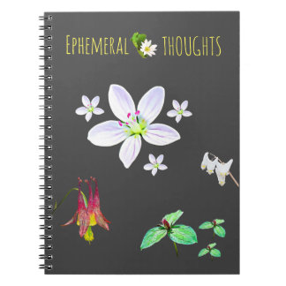 Caderno Espiral Notebook de Vazio Ephemeral Thoughts