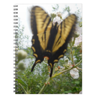 Caderno Espiral Notebook de Verão