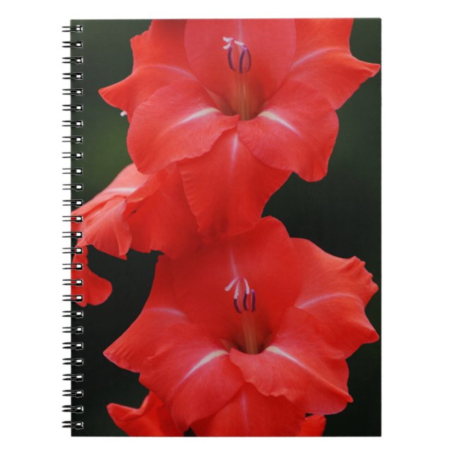 Caderno Espiral Notebook Diário Flores Vermelhas (Frente)