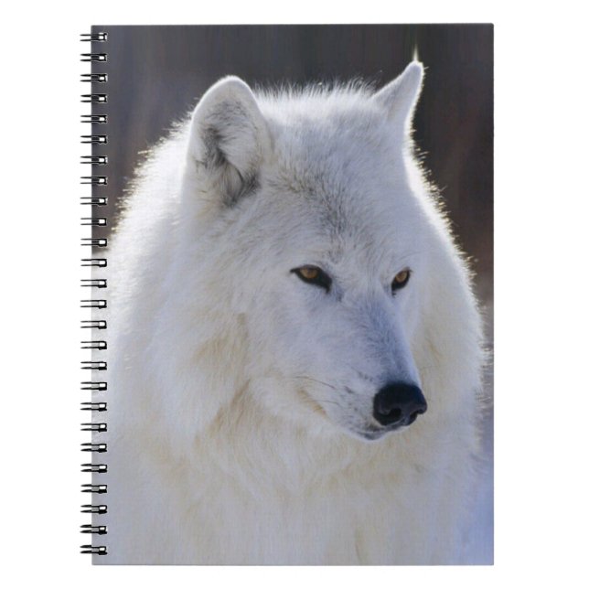 Caderno Espiral Notebook do Lobo Branco Ártico (Frente)