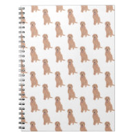 Notebook Doodle II (Apricot Ouro Red)