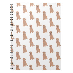 Caderno Espiral Notebook Doodle II (Apricot Ouro Red)
