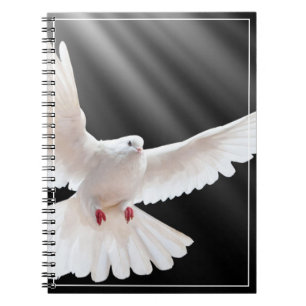 Caderno Espiral Notebook Dove