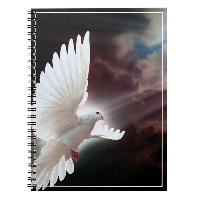 Caderno Espiral Notebook Dove (Frente)