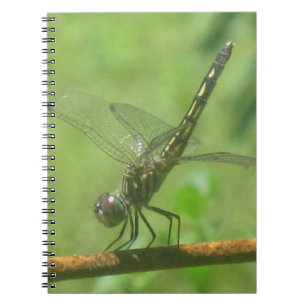 Caderno Espiral Notebook Dragonfly