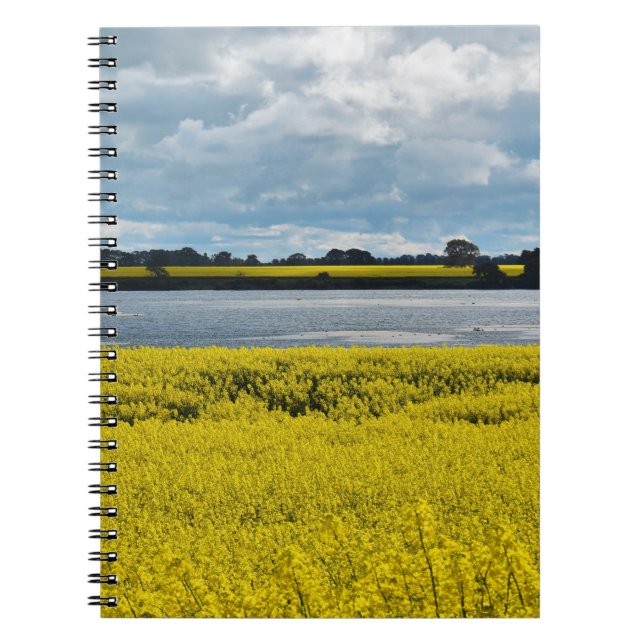 Caderno Espiral Notebook Dramático Streatham Beauty Spiral (Frente)
