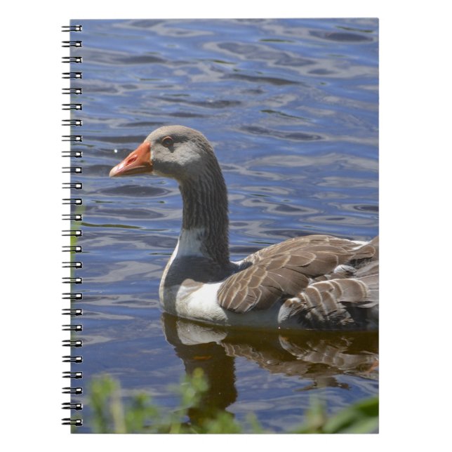 Caderno Espiral Notebook Duck (Frente)