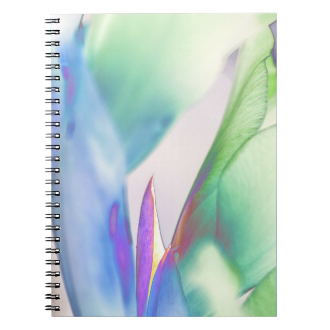 Caderno Espiral Notebook "Embracing Solitude" espiral Design Flora (Frente)