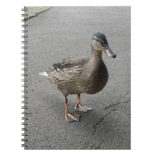 Caderno Espiral Notebook Engraçado Waddling Duck