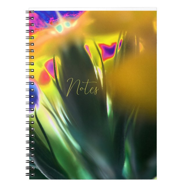 Caderno Espiral Notebook espiral (Frente)