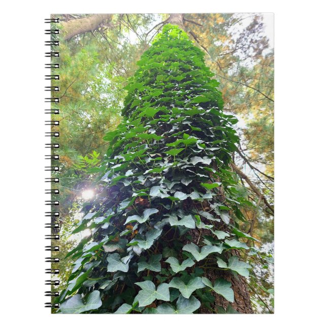 Caderno Espiral Notebook espiral (Frente)