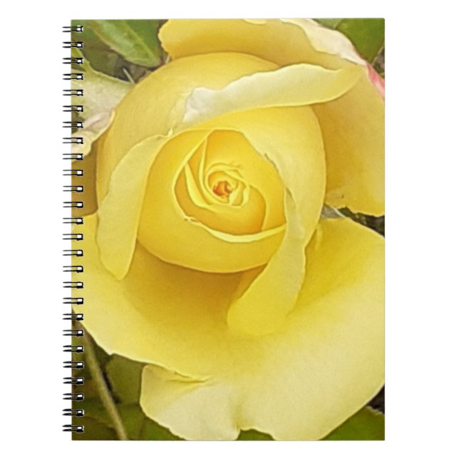 Caderno Espiral Notebook espiral amarelo rosebud (Frente)