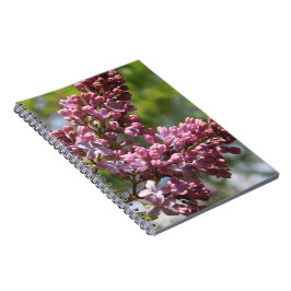Caderno Espiral Notebook espiral Blooming Lilacs