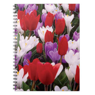 Caderno Espiral Notebook espiral Colorido Flores de Tulipas