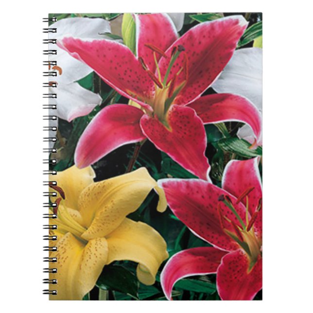 Caderno Espiral Notebook espiral com flores coloridas (Frente)