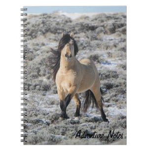 Caderno Espiral Notebook espiral com Wicahpi Hinhpaya