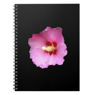 Caderno Espiral Notebook espiral, cor-de-rosa, Hibiscus