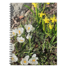 Caderno Espiral Notebook espiral Daffodils & Crocus