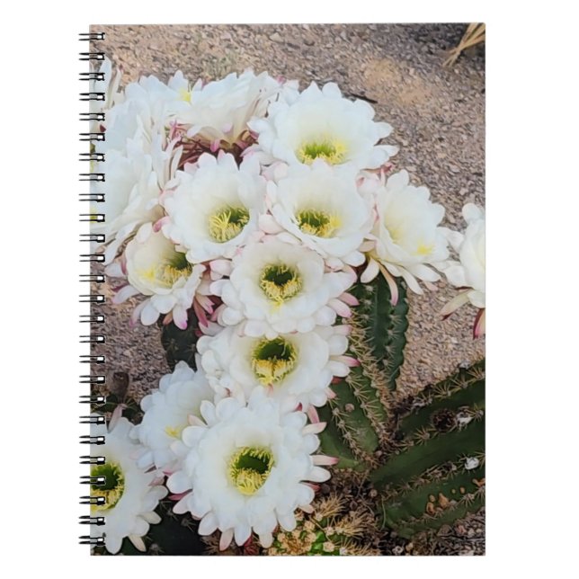 Caderno Espiral Notebook espiral de flor argentino Cactus (Frente)